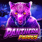 Leopardo screenshot